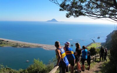 A book review: nature and well-being in Aotearoa New Zealand.