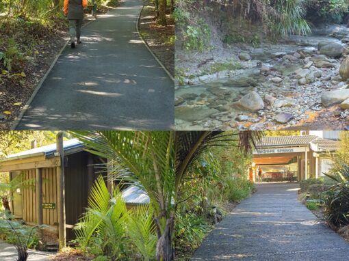 Morere Hot Springs Marketing Collaterel