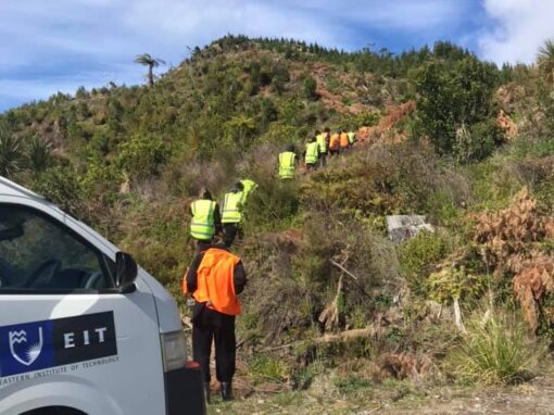 Ka Hao te Rangatahi Ecological  Land Management Programme