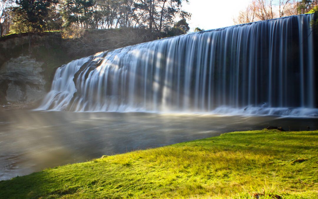 Top eight things to do these summer holidays to connect with nature