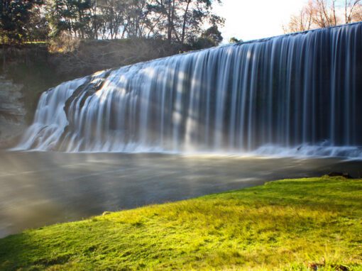 Motu and Rere Falls trails