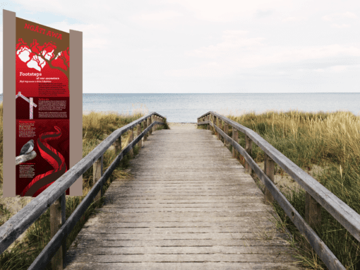 Ohope Scenic Reserve