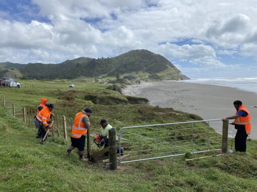 Jobs for Nature article