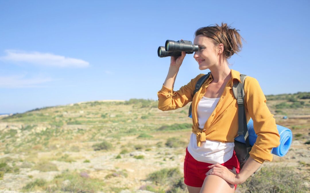 Birdwatching bliss: my fascination with birds and bird songs