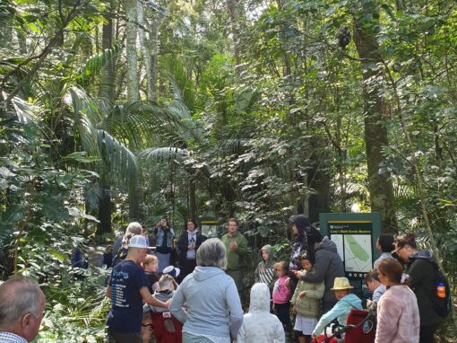 Ways to wellness – Tairawhiti He Ara Taiao ki te Ora Tairawhiti Guide