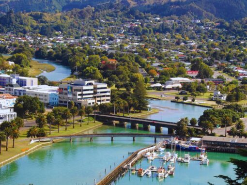 74 Grey Street Smarthub Content Creation